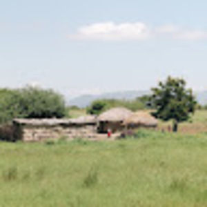 Meet your Posher, Tatum